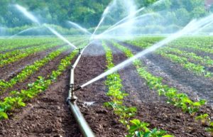 Agriculture AKC solutions agriculture